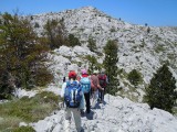 14. ponovno uspon